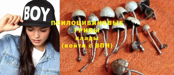 бутират Алексеевка