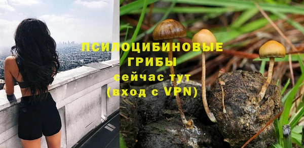 мескалин Алексин