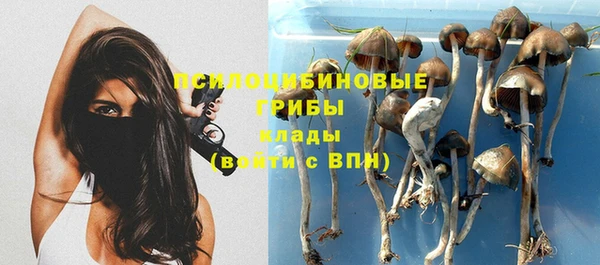бутират Алексеевка
