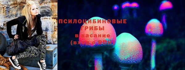 мескалин Алексин