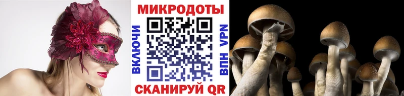 где купить наркотик Кореновск mega ССЫЛКА Галлюциногенные грибы Psilocybine cubensis